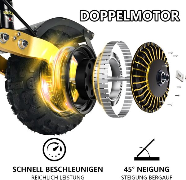 RAYI Trottinette Électrique Adulte Double Moteurs (85 Performance), Autonomie 120 km, Roues Tout-Terrain de 11 Pouces, Batterie 60V/40Ah (6000V-Serie)