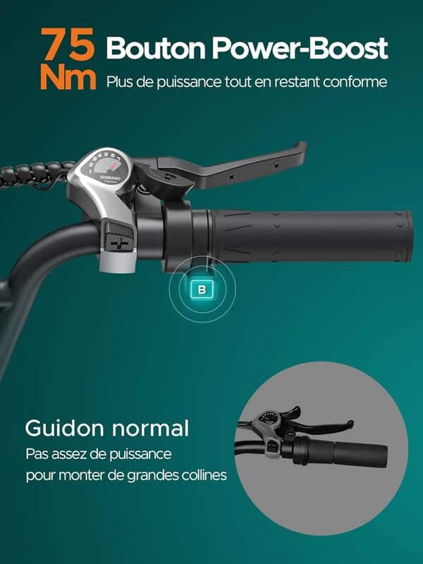 ENGWE Velo Electrique Homme 20 Pouces-vélo électrique 48V 13Ah Batterie, VTT Electrique Adulte Homme 7 Vitesses avec écran LCD, 25km/h avec Moteur 250w, autonomie jusqu'à 120km L20/L20 Boost