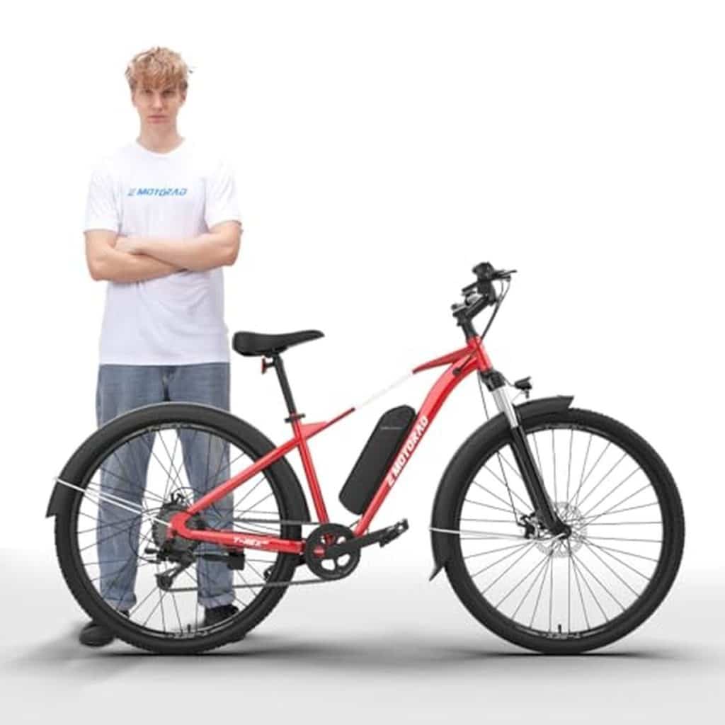 Test du vélo électrique tout-terrain EMotorad T-rex air : puissance et confort